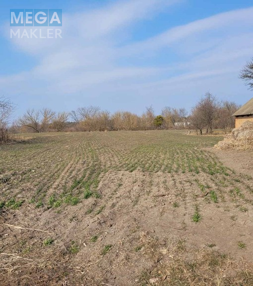 Продажа участка, 21 сотка, форма неправильная, 22,5x128 м, для будівництва, <a class="location-link" href="/filipcha-selo/" title="Недвижимость Пилипча">Пилипча</a>, Недоги (изображение 1)