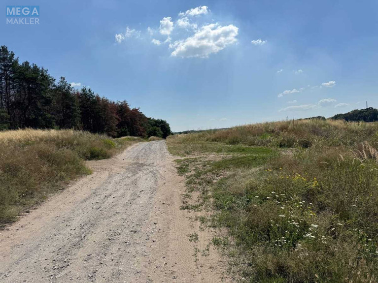 Продажа участка, 80&nbsp;соток, участок под жилую застройку, <a class="location-link" href="/dneprodzerzhinsk/" title="Недвижимость Кам'янське">Каменское</a>, Івана Мазепи 3 (изображение 1)