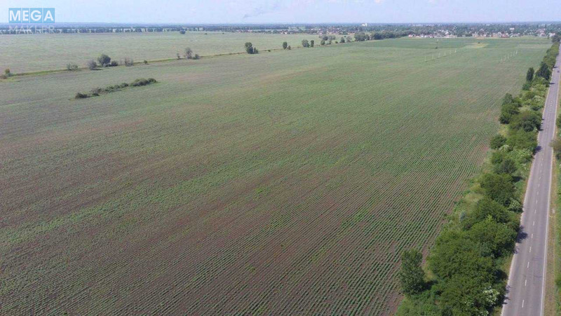 Продажа участка, 200 соток, земля сельскохозяйственного назначения, <a class="location-link" href="/glubokoe-selo-kv/" title="Недвижимость Глибоке">Глибоке</a>, Глибоцький с/о (изображение 3)