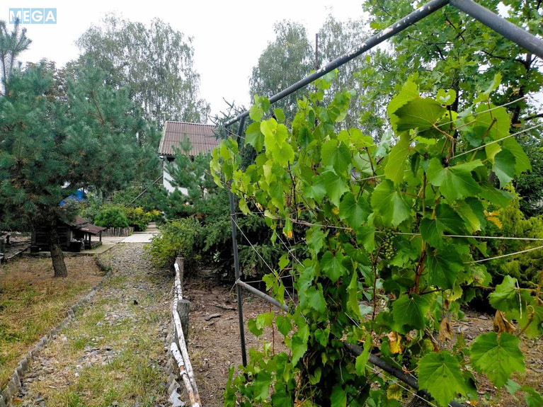 Продаж дома, 1 поверх, 70 кв.м, 3 кімнати, ділянка 190 соток, <a class="location-link" href="/ivankov/" title="Недвижимость Іванків">Іванків</a>, Центральна (изображение 15)