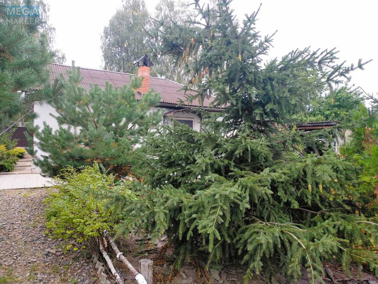 Продаж дома, 1 поверх, 70 кв.м, 3 кімнати, ділянка 190 соток, <a class="location-link" href="/ivankov/" title="Недвижимость Іванків">Іванків</a>, Центральна (изображение 20)