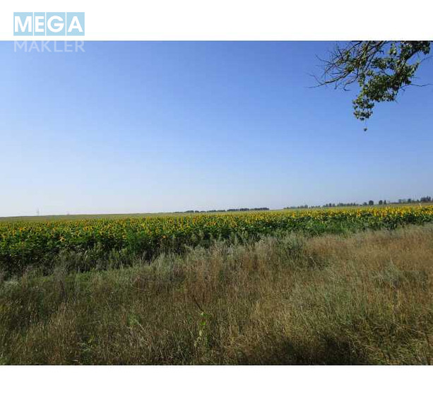 Продажа участка, 360 соток, участок под жилую застройку, <a class="location-link" href="/belogorodka-selo-kv/" title="Недвижимость Білогородка">Білогородка</a>, Софіївська (изображение 3)