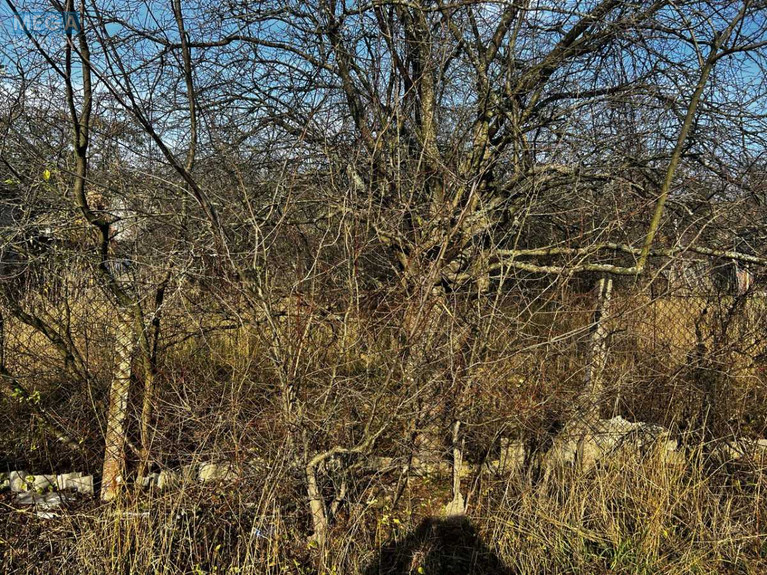 Продажа участка, 5 соток, земля сельскохозяйственного назначения, <a class="location-link" href="/ivanovka-selo-zt/" title="Недвижимость Іванівка">Іванівка</a>, СТ Соколовське (изображение 2)