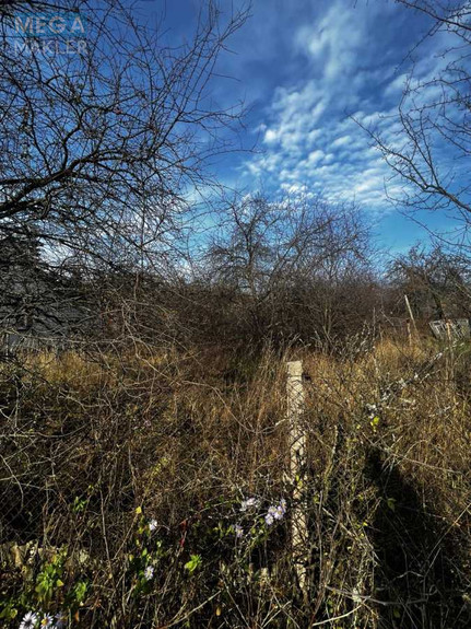 Продажа участка, 5 соток, земля сельскохозяйственного назначения, <a class="location-link" href="/ivanovka-selo-zt/" title="Недвижимость Іванівка">Іванівка</a>, СТ Соколовське (изображение 3)