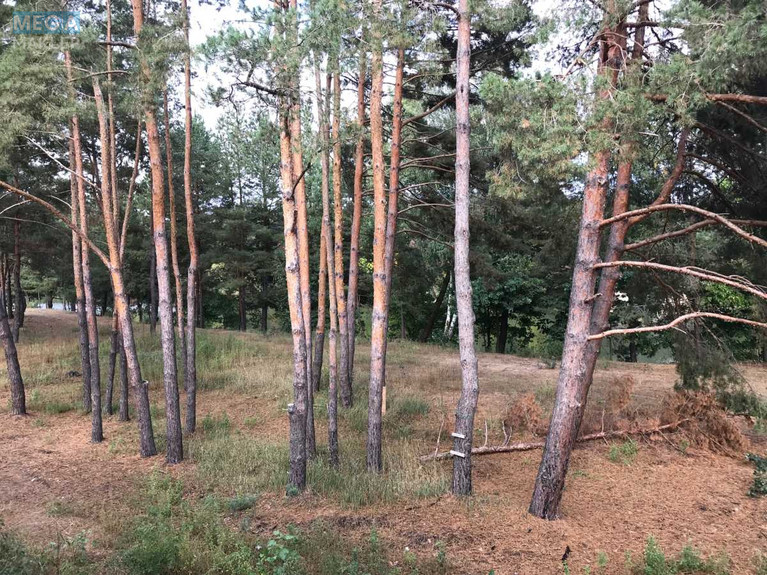 Продаж дома, 2&nbsp;поверху, 398&nbsp;кв.м, 7&nbsp;кімнат, ділянка 23&nbsp;сотки, <a class="location-link" href="/lebedevka-selo-kv-vyshgorodskij-rajon/" title="Недвижимость Лебедівка">Лебедівка</a>, Центральная, 16 (изображение 20)