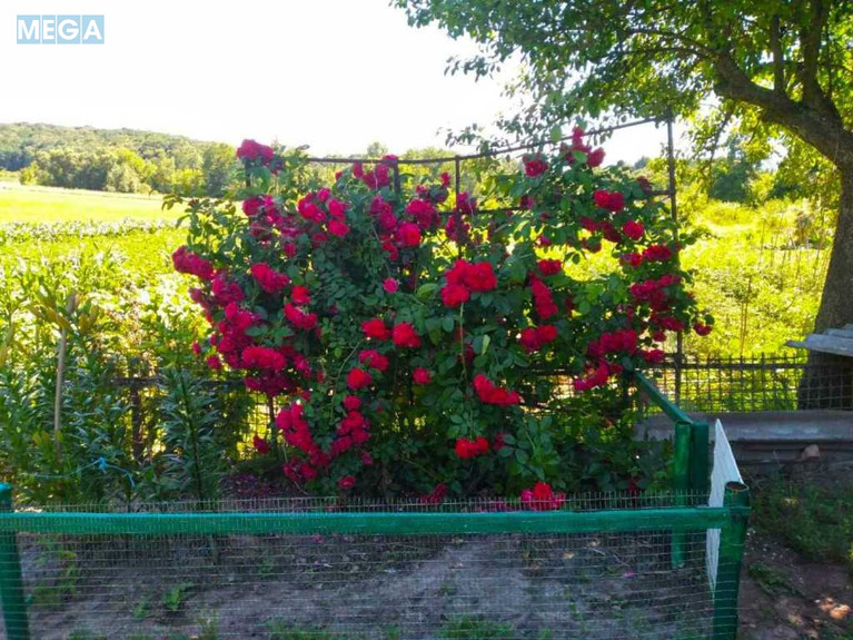 Продаж дома, 1 поверх, 77 кв.м, 3 кімнати, ділянка 25 соток, <a class="location-link" href="/sumi/" title="Недвижимость Суми">Суми</a>, <a class="location-link" href="/sumi/zarechnij/" title="Недвижимость Зарічний район">Зарічний р-н</a>, Мира (изображение 14)