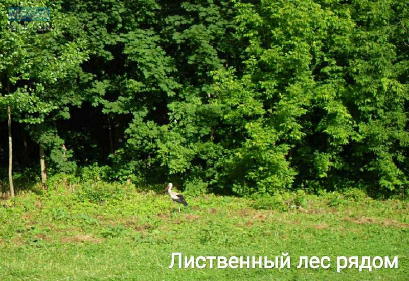 Продаж дома, 1 поверх, 77 кв.м, 3 кімнати, ділянка 25 соток, <a class="location-link" href="/sumi/" title="Недвижимость Суми">Суми</a>, <a class="location-link" href="/sumi/zarechnij/" title="Недвижимость Зарічний район">Зарічний р-н</a>, Мира (изображение 15)