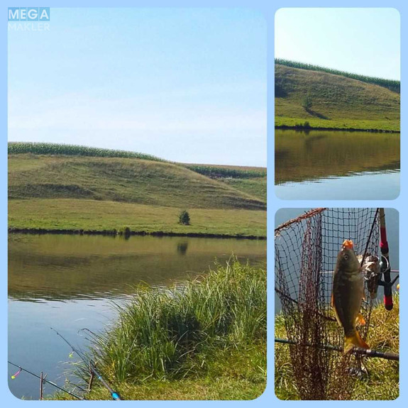 Продаж дома, 1 поверх, 77 кв.м, 3 кімнати, ділянка 25 соток, <a class="location-link" href="/sumi/" title="Недвижимость Суми">Суми</a>, <a class="location-link" href="/sumi/zarechnij/" title="Недвижимость Зарічний район">Зарічний р-н</a>, Мира (изображение 18)