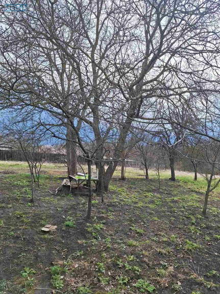 Продаж дома, 1 поверх, 40 кв.м, 1 кімната, ділянка 25 соток, <a class="location-link" href="/novoselki-selo-kv/" title="Недвижимость Новосілки">Новосілки</a>, Шевченка, 50 (изображение 5)