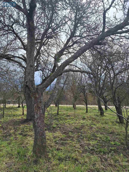Продаж дома, 1 поверх, 40 кв.м, 1 кімната, ділянка 25 соток, <a class="location-link" href="/novoselki-selo-kv/" title="Недвижимость Новосілки">Новосілки</a>, Шевченка, 50 (изображение 8)