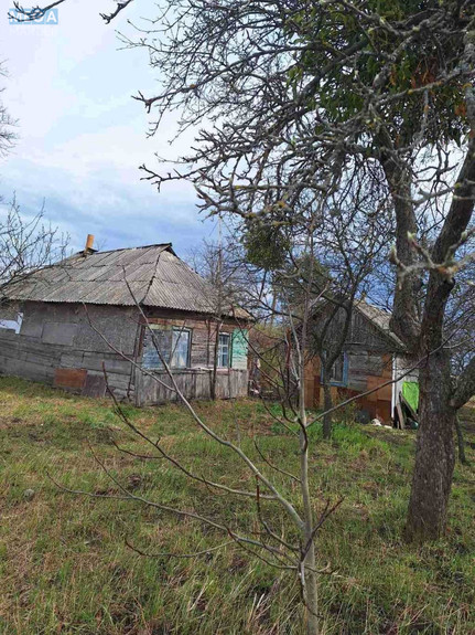 Продаж дома, 1 поверх, 40 кв.м, 1 кімната, ділянка 25 соток, <a class="location-link" href="/novoselki-selo-kv/" title="Недвижимость Новосілки">Новосілки</a>, Шевченка, 50 (изображение 11)