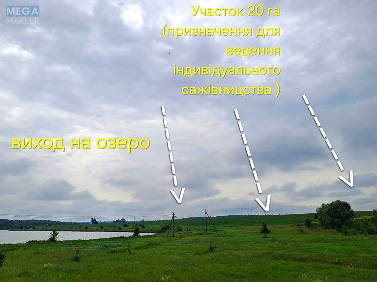 Продажа участка, 2 000 соток, участок под жилую застройку, <a class="location-link" href="/byshev-selo/" title="Недвижимость Бішів">Бишів</a>, польова (изображение 4)