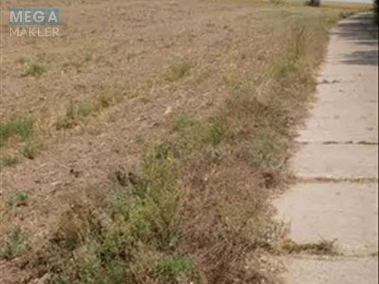 Продажа участка, 547 соток, земля сельскохозяйственного назначения, <a class="location-link" href="/grigorovka-selo-kr-svetlovodskij-rajon/" title="Недвижимость Григорівка">Григорівка</a>, нова (изображение 3)
