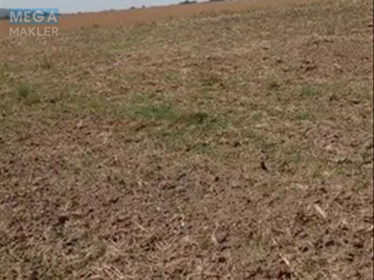 Продажа участка, 547 соток, земля сельскохозяйственного назначения, <a class="location-link" href="/grigorovka-selo-kr-svetlovodskij-rajon/" title="Недвижимость Григорівка">Григорівка</a>, нова (изображение 5)