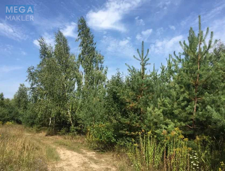 Продажа участка, 15 соток, участок под жилую застройку, <a class="location-link" href="/vita-pochtovaya/" title="Недвижимость Віта-Поштова">Віта-Поштова</a>, Звенигородська (изображение 5)