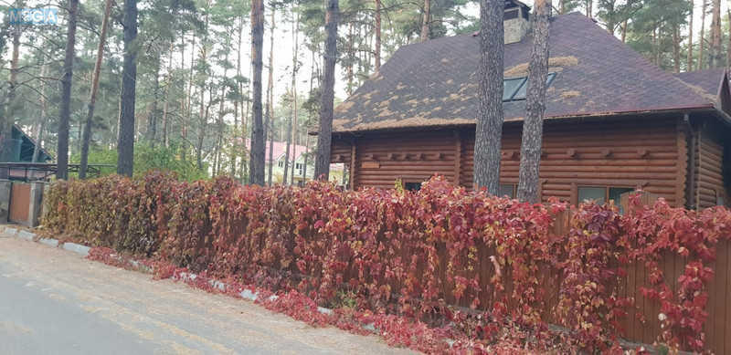 Оренда дома, <a class="location-link" href="/voropaev/" title="Недвижимость Воропаїв">Воропаїв</a>, Авіатор, 12 (изображение 6)