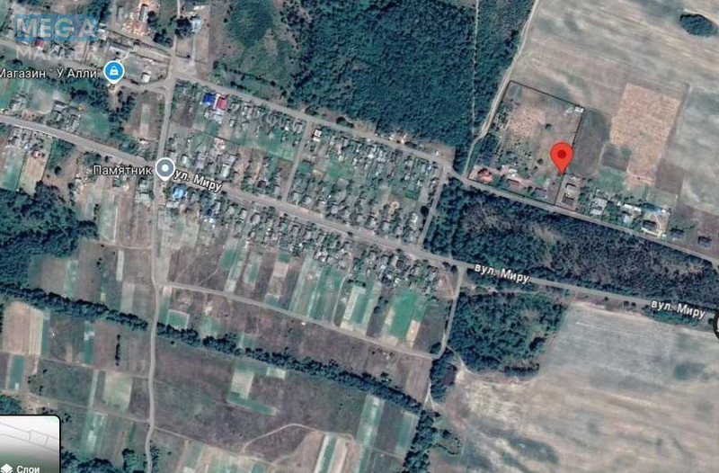 Продаж дома, 1 поверх, 192 кв.м, 5 кімнат, ділянка 68 соток, <a class="location-link" href="/fedorovka-selo-kv/" title="Недвижимость Федорівка">Федорівка</a>, Дружби, 7 (изображение 3)
