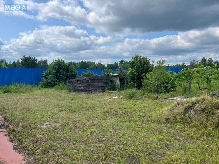Продаж дома, 1 поверх, 192 кв.м, 5 кімнат, ділянка 68 соток, <a class="location-link" href="/fedorovka-selo-kv/" title="Недвижимость Федорівка">Федорівка</a>, Дружби, 7 (изображение 16)
