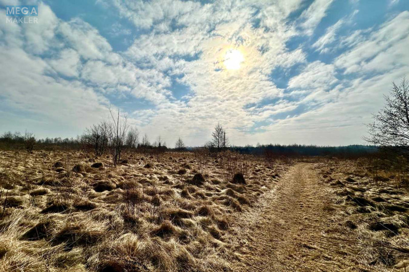 Продажа участка, 86 соток, земля сельскохозяйственного назначения, <a class="location-link" href="/solonka/" title="Недвижимость Сільничка">Солонка</a>, Людкевича (изображение 2)