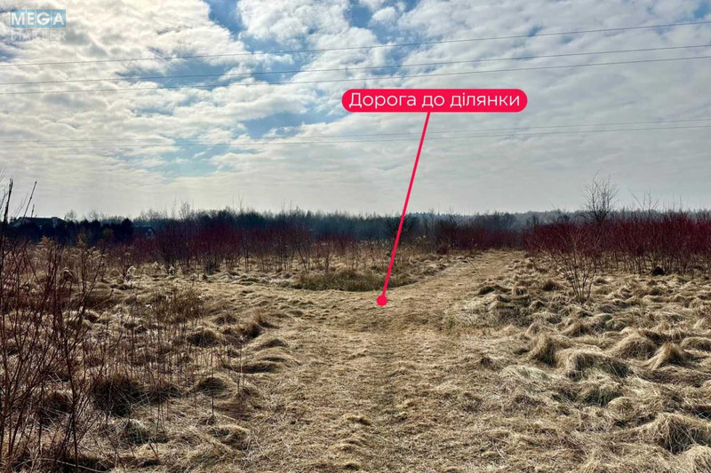 Продажа участка, 86 соток, земля сельскохозяйственного назначения, <a class="location-link" href="/solonka/" title="Недвижимость Сільничка">Солонка</a>, Людкевича (изображение 4)