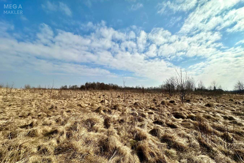 Продажа участка, 86 соток, земля сельскохозяйственного назначения, <a class="location-link" href="/solonka/" title="Недвижимость Сільничка">Солонка</a>, Людкевича (изображение 8)