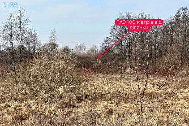 Продажа участка, 86 соток, земля сельскохозяйственного назначения, <a class="location-link" href="/solonka/" title="Недвижимость Сільничка">Солонка</a>, Людкевича (изображение 10)