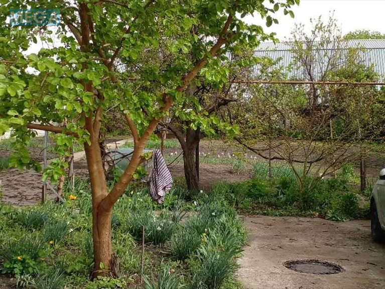 Продаж дома, 1 поверх, 98 кв.м, 4 кімнати, ділянка 100 соток, <a class="location-link" href="/kirovograd/" title="Недвижимость Кіровоград">Кіровоград</a>, Олександрійська, 93 (изображение 4)