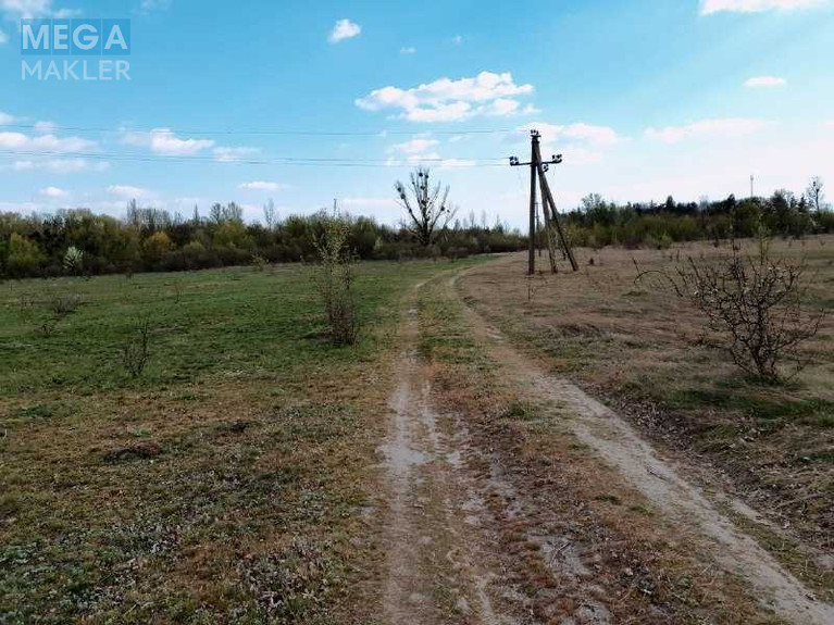 Продажа участка, 1 000 соток, земля коммерческого назначения, <a class="location-link" href="/trushki/" title="Недвижимость Трушки">Трушки</a>, Центральна (изображение 4)