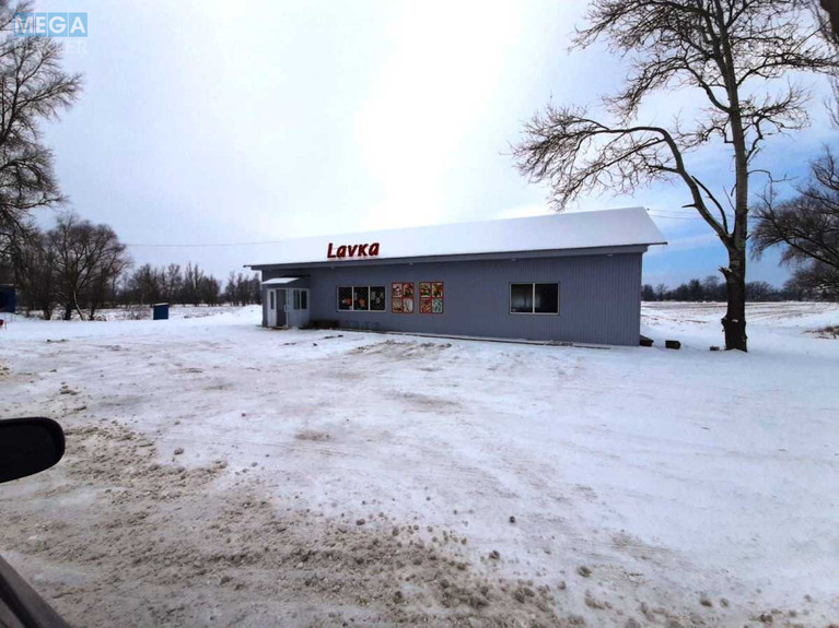 Продажа участка, 94 сотки, земля сельскохозяйственного назначения, <a class="location-link" href="/brovary/" title="Недвижимость Бровари">Бровари</a>, Соболівка (изображение 4)