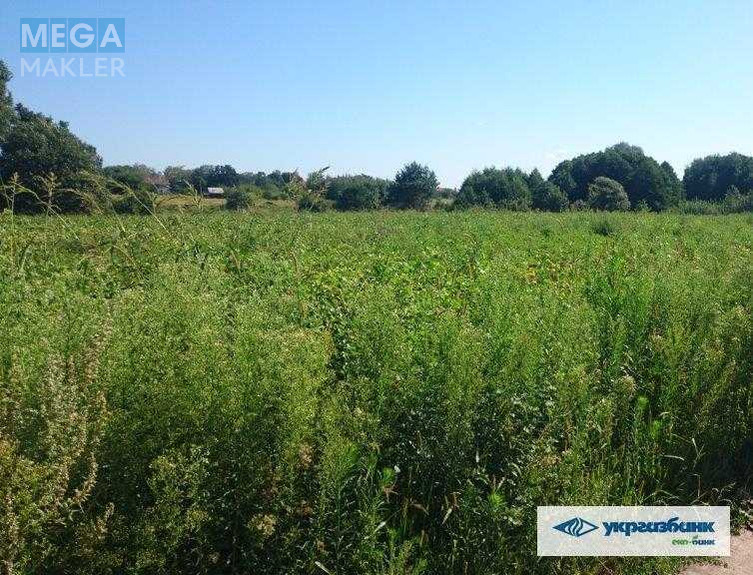 Продажа участка, 200&nbsp;соток, участок под жилую застройку, <a class="location-link" href="/zozuli/" title="Недвижимость Зозулі">Зозулі</a>, нова (изображение 13)