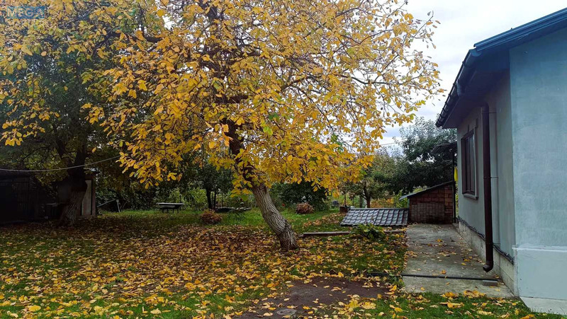 Продаж дома, 1&nbsp; поверх, 105&nbsp;кв.м, 2&nbsp;кімнати, ділянка 30&nbsp;соток, <a class="location-link" href="/staroe/" title="Недвижимость Старе">Старе</a>, вул. Садова, 18 (изображение 19)