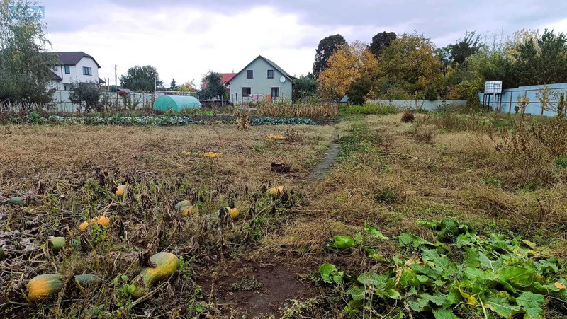 Продаж дома, 1&nbsp; поверх, 105&nbsp;кв.м, 2&nbsp;кімнати, ділянка 30&nbsp;соток, <a class="location-link" href="/staroe/" title="Недвижимость Старе">Старе</a>, вул. Садова, 18 (изображение 21)