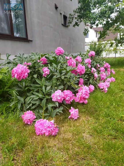 Продаж дома, 1&nbsp; поверх, 105&nbsp;кв.м, 2&nbsp;кімнати, ділянка 30&nbsp;соток, <a class="location-link" href="/staroe/" title="Недвижимость Старе">Старе</a>, вул. Садова, 18 (изображение 22)