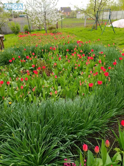 Продаж дома, 1&nbsp; поверх, 105&nbsp;кв.м, 2&nbsp;кімнати, ділянка 30&nbsp;соток, <a class="location-link" href="/staroe/" title="Недвижимость Старе">Старе</a>, вул. Садова, 18 (изображение 24)