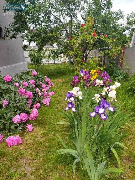 Продаж дома, 1&nbsp; поверх, 105&nbsp;кв.м, 2&nbsp;кімнати, ділянка 30&nbsp;соток, <a class="location-link" href="/staroe/" title="Недвижимость Старе">Старе</a>, вул. Садова, 18 (изображение 25)