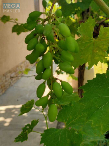 Продаж дома, 2 поверху, 200 кв.м, 10 кімнат, ділянка 14 соток, <a class="location-link" href="/oster/" title="Недвижимость Остер">Остер</a>, Тиха (изображение 16)