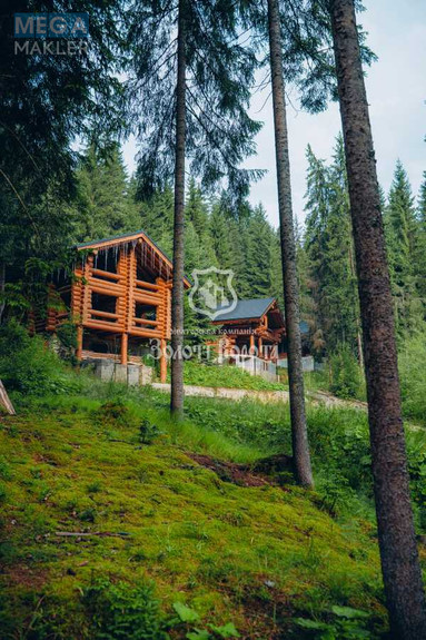 Продажа участка, 100 соток, земля коммерческого назначения, <a class="location-link" href="/yablonica/" title="Недвижимость Яблуниця">Яблуниця</a>, Горішків (изображение 20)