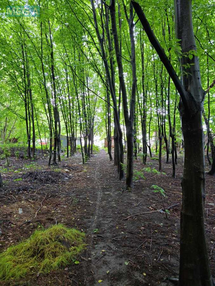 Продажа участка, 30 соток, земля коммерческого назначения, <a class="location-link" href="/kiev/" title="Недвижимость Київ">Київ</a>, <a class="location-link" href="/kiev/goloseevskij/" title="Недвижимость Голосіївський район">Голосіївський р-н</a>, Жулянська вул. (изображение 8)