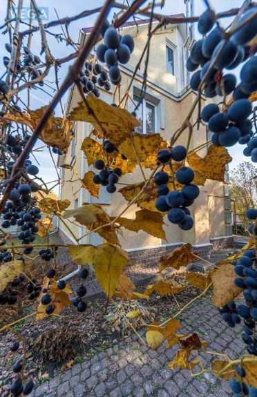 Оренда дома, <a class="location-link" href="/kiev/" title="Недвижимость Київ">Київ</a>, <a class="location-link" href="/kiev/darnickij/" title="Недвижимость Дарницький район">Дарницький р-н</a>, Центральна вул. (изображение 18)