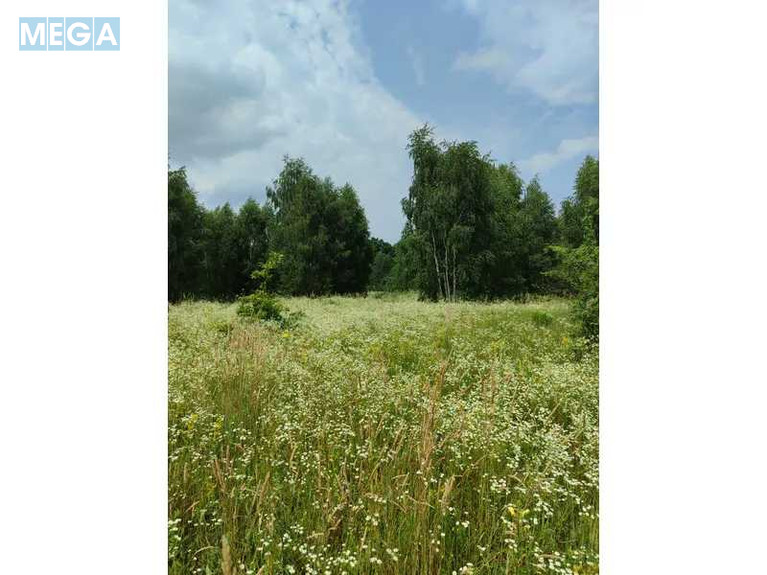 Продажа участка, 1&nbsp;446,95&nbsp;соток, земля сельскохозяйственного назначения, <a class="location-link" href="/lubyanka-selo-kv/" title="Недвижимость Луб'янка">Луб`янка</a>, Нова (изображение 3)