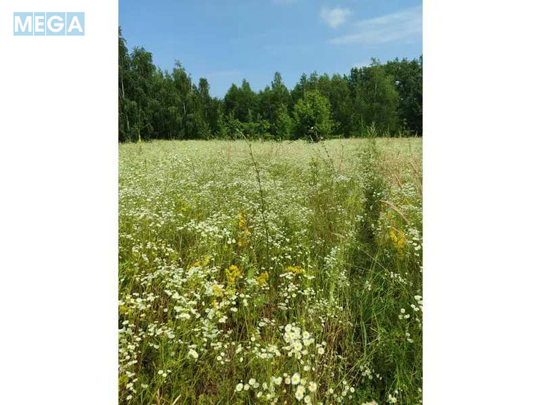 Продажа участка, 1&nbsp;446,95&nbsp;соток, земля сельскохозяйственного назначения, <a class="location-link" href="/lubyanka-selo-kv/" title="Недвижимость Луб'янка">Луб`янка</a>, Нова (изображение 4)