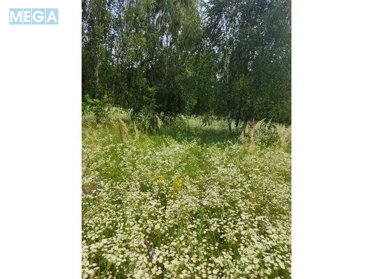 Продажа участка, 1&nbsp;446,95&nbsp;соток, земля сельскохозяйственного назначения, <a class="location-link" href="/lubyanka-selo-kv/" title="Недвижимость Луб'янка">Луб`янка</a>, Нова (изображение 7)