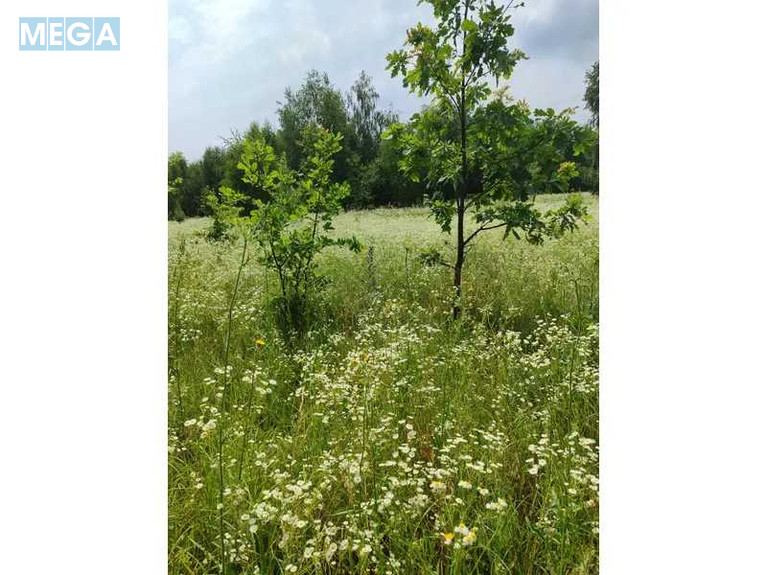 Продажа участка, 1&nbsp;446,95&nbsp;соток, земля сельскохозяйственного назначения, <a class="location-link" href="/lubyanka-selo-kv/" title="Недвижимость Луб'янка">Луб`янка</a>, Нова (изображение 13)