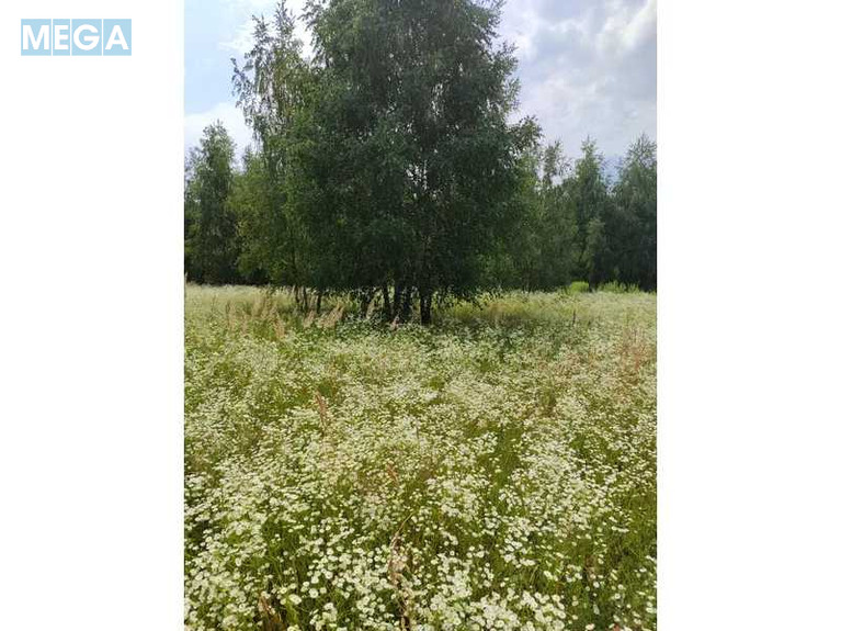 Продажа участка, 1&nbsp;446,95&nbsp;соток, земля сельскохозяйственного назначения, <a class="location-link" href="/lubyanka-selo-kv/" title="Недвижимость Луб'янка">Луб`янка</a>, Нова (изображение 14)