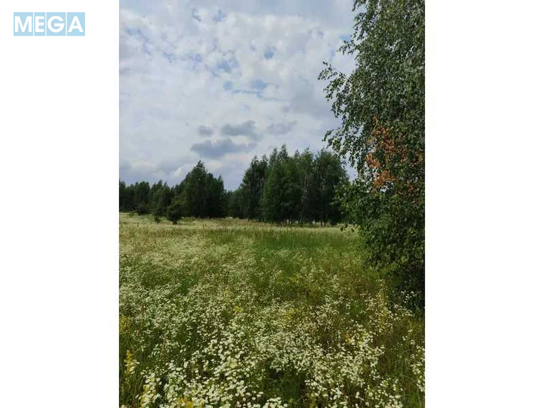 Продажа участка, 1&nbsp;446,95&nbsp;соток, земля сельскохозяйственного назначения, <a class="location-link" href="/lubyanka-selo-kv/" title="Недвижимость Луб'янка">Луб`янка</a>, Нова (изображение 22)