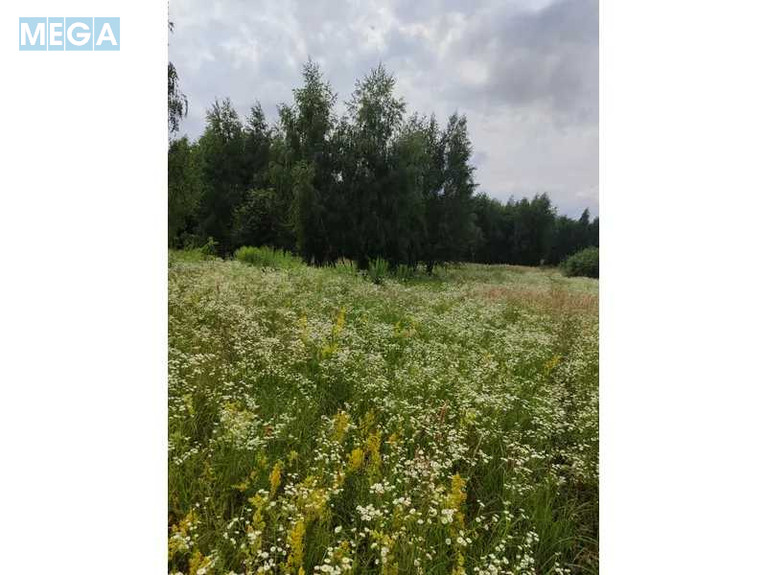 Продажа участка, 1&nbsp;446,95&nbsp;соток, земля сельскохозяйственного назначения, <a class="location-link" href="/lubyanka-selo-kv/" title="Недвижимость Луб'янка">Луб`янка</a>, Нова (изображение 24)