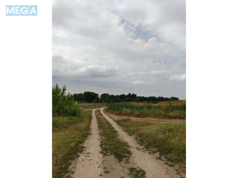 Продажа участка, 1&nbsp;519,95&nbsp;соток, земля сельскохозяйственного назначения, <a class="location-link" href="/lubyanka-selo-kv/" title="Недвижимость Луб'янка">Луб`янка</a>, Нова (изображение 12)