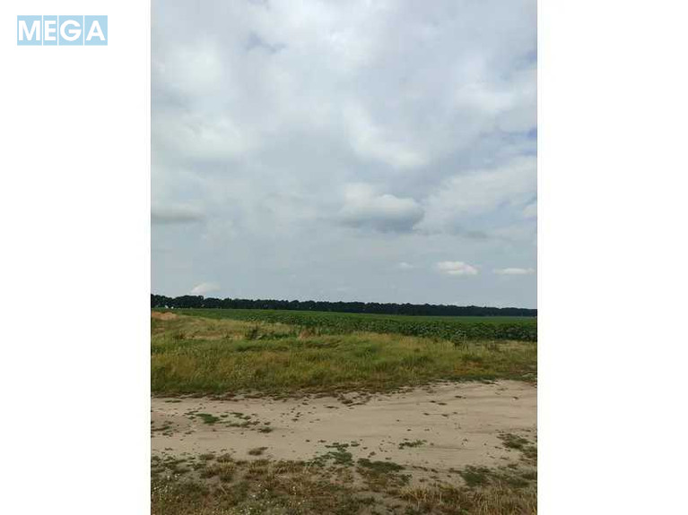 Продажа участка, 1&nbsp;519,95&nbsp;соток, земля сельскохозяйственного назначения, <a class="location-link" href="/lubyanka-selo-kv/" title="Недвижимость Луб'янка">Луб`янка</a>, Нова (изображение 15)