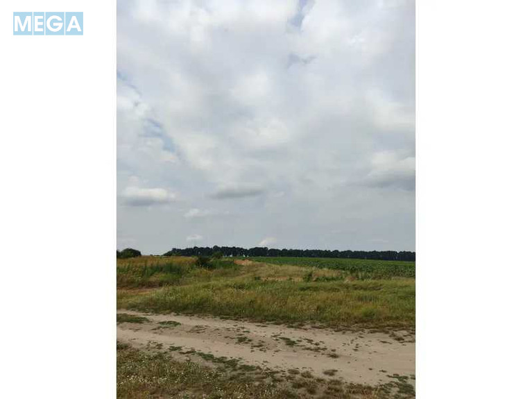 Продажа участка, 1&nbsp;519,95&nbsp;соток, земля сельскохозяйственного назначения, <a class="location-link" href="/lubyanka-selo-kv/" title="Недвижимость Луб'янка">Луб`янка</a>, Нова (изображение 17)