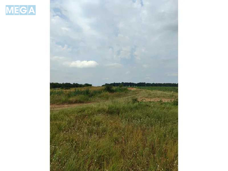 Продажа участка, 1&nbsp;519,95&nbsp;соток, земля сельскохозяйственного назначения, <a class="location-link" href="/lubyanka-selo-kv/" title="Недвижимость Луб'янка">Луб`янка</a>, Нова (изображение 21)